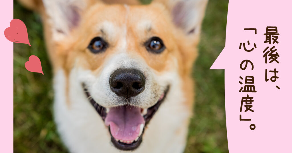 ブログサムネイル